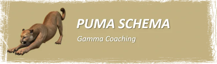 Banner PUMA-Schema